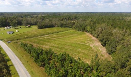 Photo of UNDER CONTRACT!  10 Acres of Farm and Residential Land For Sale in Columbus County NC!