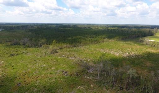 Photo of UNDER CONTRACT!  46 Acres of Farm and Timber Land for Sale in Columbus County NC!