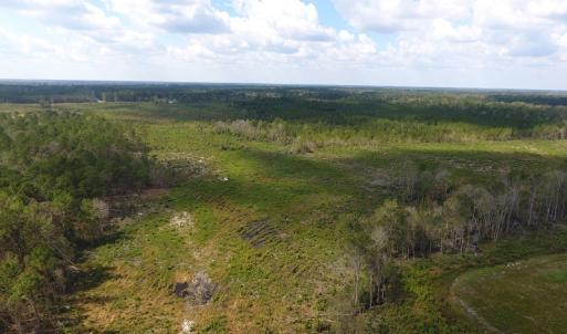 Photo of UNDER CONTRACT!  46 Acres of Farm and Timber Land for Sale in Columbus County NC!