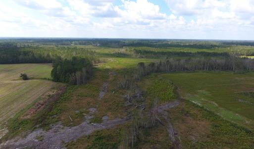 Photo of UNDER CONTRACT!  46 Acres of Farm and Timber Land for Sale in Columbus County NC!