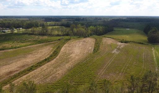 Photo of UNDER CONTRACT!  46 Acres of Farm and Timber Land for Sale in Columbus County NC!