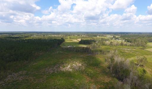 Photo of UNDER CONTRACT!  46 Acres of Farm and Timber Land for Sale in Columbus County NC!