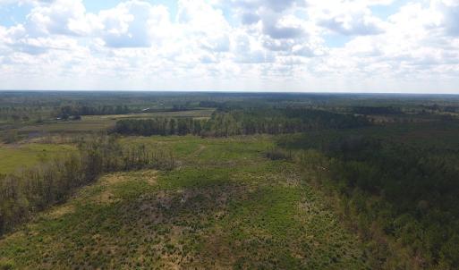 Photo of UNDER CONTRACT!  46 Acres of Farm and Timber Land for Sale in Columbus County NC!