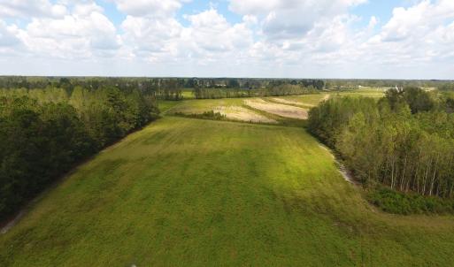 Photo of UNDER CONTRACT!  46 Acres of Farm and Timber Land for Sale in Columbus County NC!