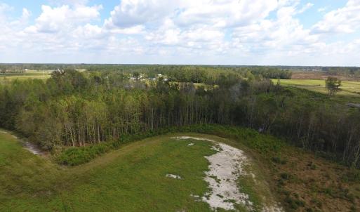 Photo of UNDER CONTRACT!  46 Acres of Farm and Timber Land for Sale in Columbus County NC!