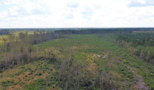 Photo of UNDER CONTRACT!  46 Acres of Farm and Timber Land for Sale in Columbus County NC!