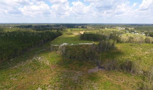 Photo of UNDER CONTRACT!  46 Acres of Farm and Timber Land for Sale in Columbus County NC!
