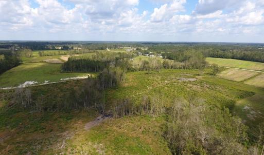 Photo of UNDER CONTRACT!  46 Acres of Farm and Timber Land for Sale in Columbus County NC!