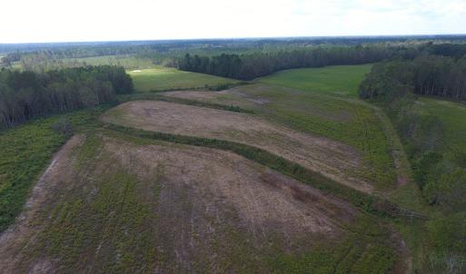 Photo of UNDER CONTRACT!  46 Acres of Farm and Timber Land for Sale in Columbus County NC!