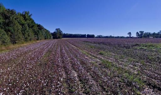 Photo of UNDER CONTRACT!  24.5 Acres of Farm and Hunting Land For Sale in Halifax County NC!