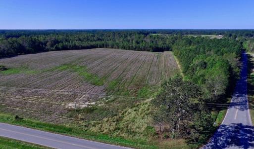 Photo of UNDER CONTRACT!  24.5 Acres of Farm and Hunting Land For Sale in Halifax County NC!