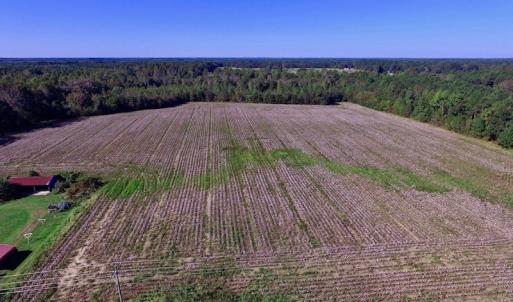 Photo of UNDER CONTRACT!  24.5 Acres of Farm and Hunting Land For Sale in Halifax County NC!