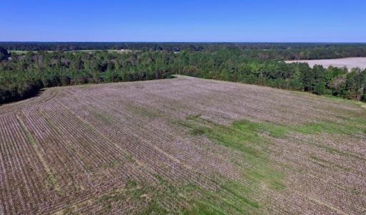 Photo of UNDER CONTRACT!  24.5 Acres of Farm and Hunting Land For Sale in Halifax County NC!