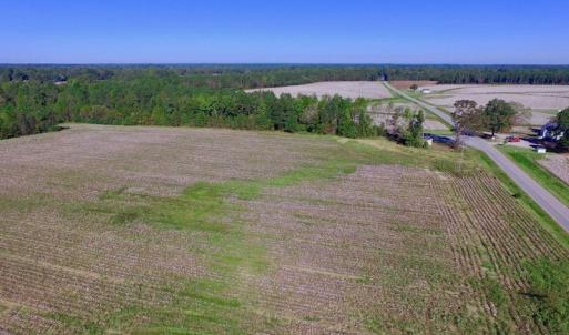 Photo of UNDER CONTRACT!  24.5 Acres of Farm and Hunting Land For Sale in Halifax County NC!