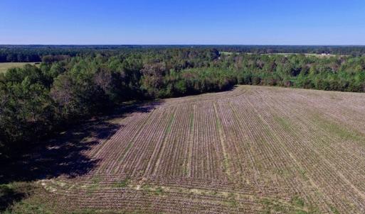 Photo of UNDER CONTRACT!  24.5 Acres of Farm and Hunting Land For Sale in Halifax County NC!