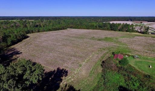 Photo of UNDER CONTRACT!  24.5 Acres of Farm and Hunting Land For Sale in Halifax County NC!