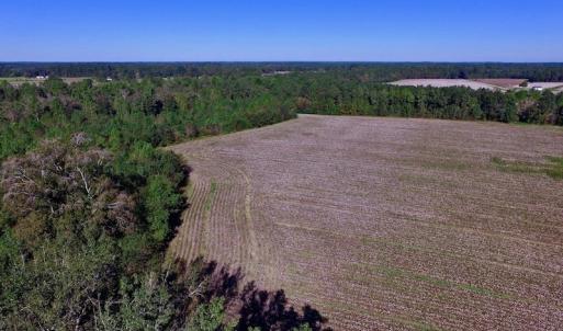 Photo of UNDER CONTRACT!  24.5 Acres of Farm and Hunting Land For Sale in Halifax County NC!