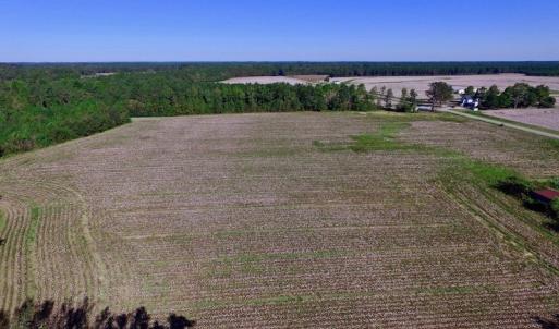 Photo of UNDER CONTRACT!  24.5 Acres of Farm and Hunting Land For Sale in Halifax County NC!