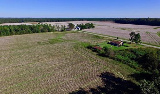 Photo of UNDER CONTRACT!  24.5 Acres of Farm and Hunting Land For Sale in Halifax County NC!