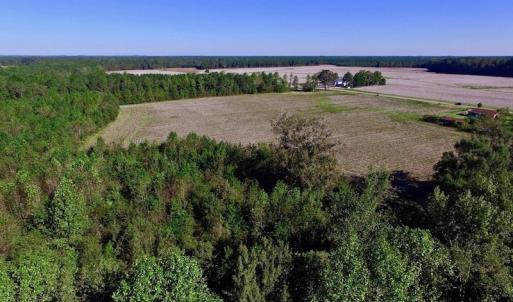 Photo of UNDER CONTRACT!  24.5 Acres of Farm and Hunting Land For Sale in Halifax County NC!