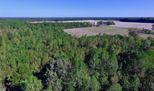Photo of UNDER CONTRACT!  24.5 Acres of Farm and Hunting Land For Sale in Halifax County NC!