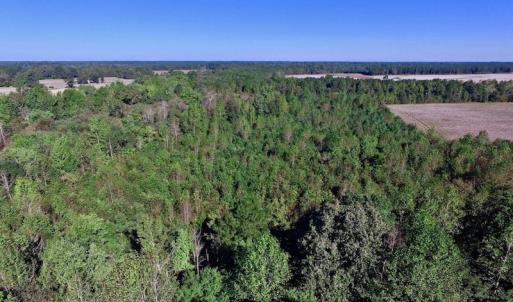 Photo of UNDER CONTRACT!  24.5 Acres of Farm and Hunting Land For Sale in Halifax County NC!