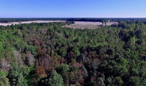 Photo of UNDER CONTRACT!  24.5 Acres of Farm and Hunting Land For Sale in Halifax County NC!