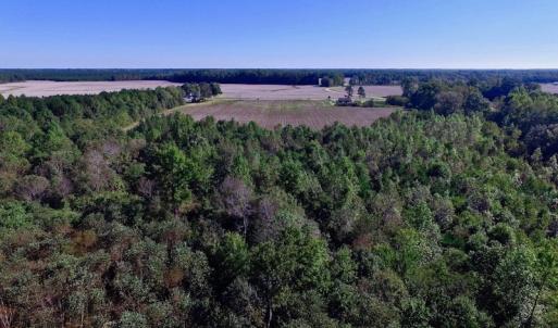 Photo of UNDER CONTRACT!  24.5 Acres of Farm and Hunting Land For Sale in Halifax County NC!