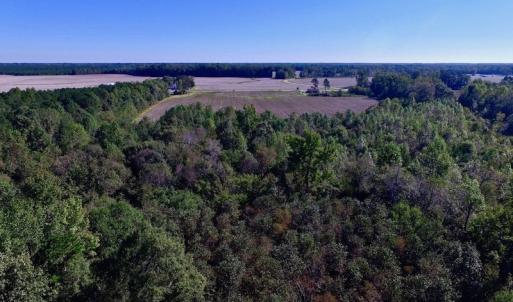 Photo of UNDER CONTRACT!  24.5 Acres of Farm and Hunting Land For Sale in Halifax County NC!