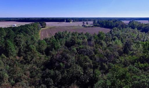Photo of UNDER CONTRACT!  24.5 Acres of Farm and Hunting Land For Sale in Halifax County NC!
