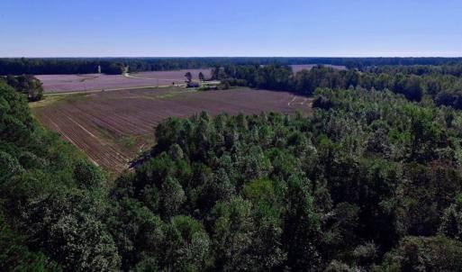 Photo of UNDER CONTRACT!  24.5 Acres of Farm and Hunting Land For Sale in Halifax County NC!