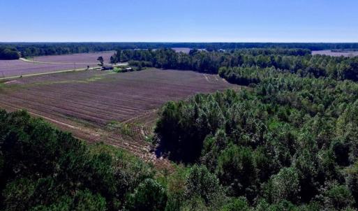 Photo of UNDER CONTRACT!  24.5 Acres of Farm and Hunting Land For Sale in Halifax County NC!