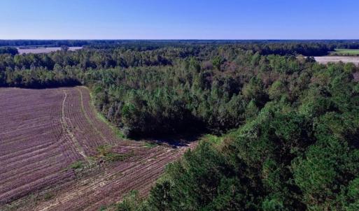 Photo of UNDER CONTRACT!  24.5 Acres of Farm and Hunting Land For Sale in Halifax County NC!