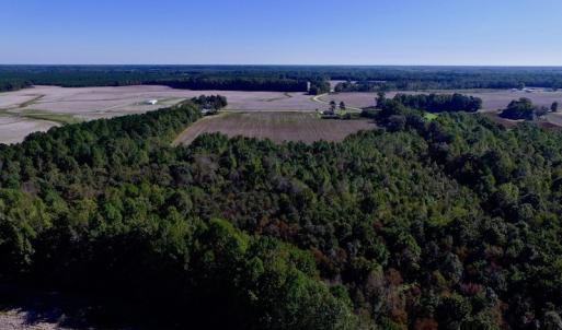 Photo of UNDER CONTRACT!  24.5 Acres of Farm and Hunting Land For Sale in Halifax County NC!