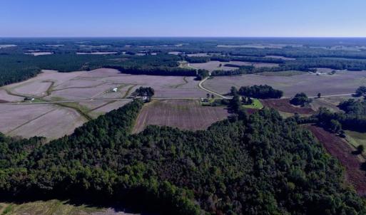 Photo of UNDER CONTRACT!  24.5 Acres of Farm and Hunting Land For Sale in Halifax County NC!