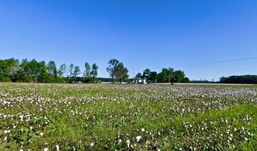 Photo of UNDER CONTRACT!  24.5 Acres of Farm and Hunting Land For Sale in Halifax County NC!