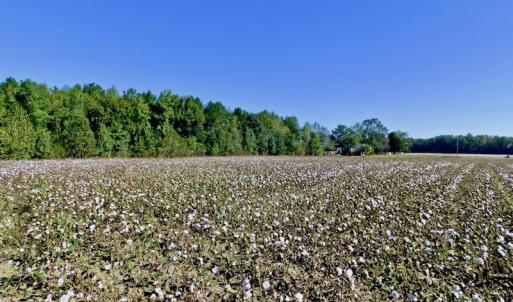 Photo of UNDER CONTRACT!  24.5 Acres of Farm and Hunting Land For Sale in Halifax County NC!