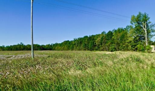 Photo of UNDER CONTRACT!  24.5 Acres of Farm and Hunting Land For Sale in Halifax County NC!