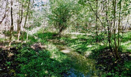 Photo of UNDER CONTRACT!  24.5 Acres of Farm and Hunting Land For Sale in Halifax County NC!
