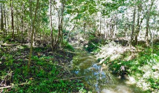 Photo of UNDER CONTRACT!  24.5 Acres of Farm and Hunting Land For Sale in Halifax County NC!