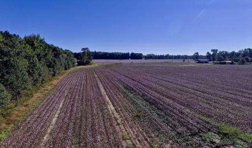 Photo of UNDER CONTRACT!  24.5 Acres of Farm and Hunting Land For Sale in Halifax County NC!