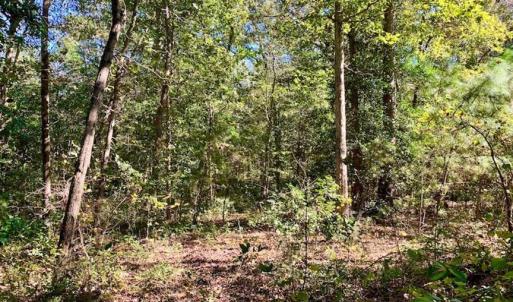 Photo of SOLD!  18.23 Acres of Recreational Land with Pond For Sale in Greene County NC!