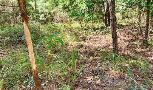Photo of SOLD!  18.23 Acres of Recreational Land with Pond For Sale in Greene County NC!