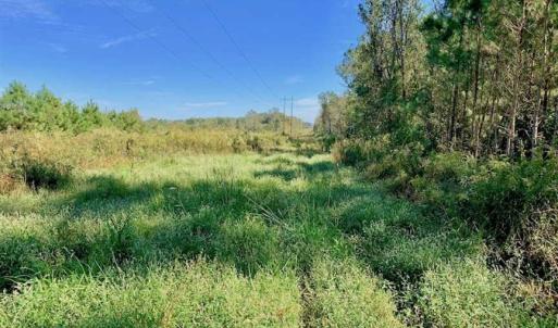 Photo of SOLD!  18.23 Acres of Recreational Land with Pond For Sale in Greene County NC!