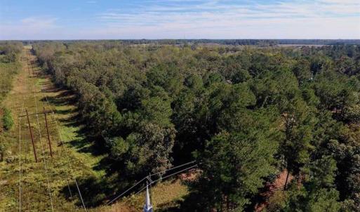 Photo of SOLD!  18.23 Acres of Recreational Land with Pond For Sale in Greene County NC!
