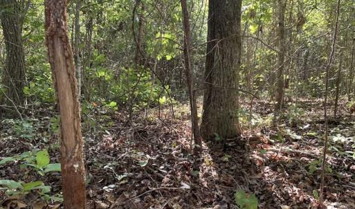 Photo of SOLD!  18.23 Acres of Recreational Land with Pond For Sale in Greene County NC!
