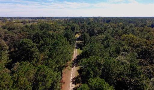 Photo of SOLD!  18.23 Acres of Recreational Land with Pond For Sale in Greene County NC!