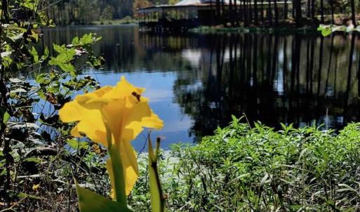 Photo of SOLD!  18.23 Acres of Recreational Land with Pond For Sale in Greene County NC!