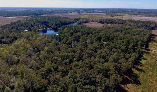 Photo of SOLD!  18.23 Acres of Recreational Land with Pond For Sale in Greene County NC!