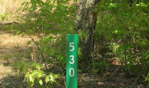 Photo of UNDER CONTRACT!  15 Acres of Hunting and Residential Land For Sale in Prince Edward County VA!